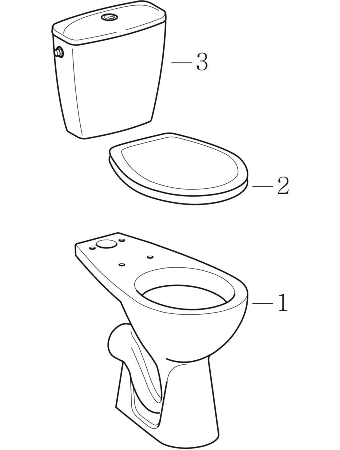 Sets of floor-standing WC with close-coupled exposed cistern (Geberit Flash)