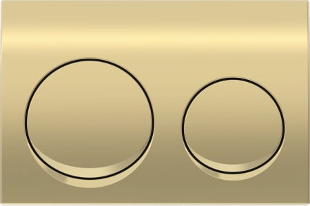 act pl Alpha20 dual pl brass IN