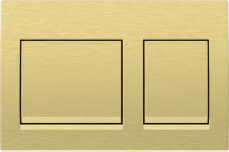 a-pl Alp25 sq dual pl gold lig brshd IN