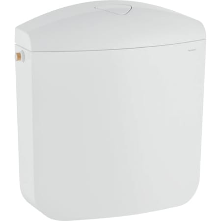 Geberit AP117 exposed cistern, dual flush, lateral or rear centre water supply connection