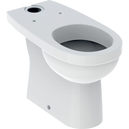Geberit 300 Comfort 49 staande wc voor opzet spoelreservoir, diepspoel-wc, verhoogd, afvoer verticaal