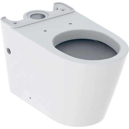 Geberit Eternity floor-standing WC for close-coupled exposed cistern, washdown, shrouded