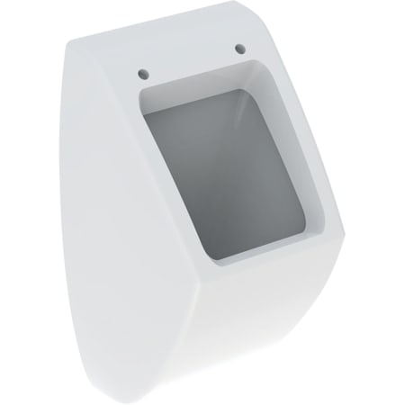 Geberit Pareo urinal for lid, inlet from the rear, outlet to the rear