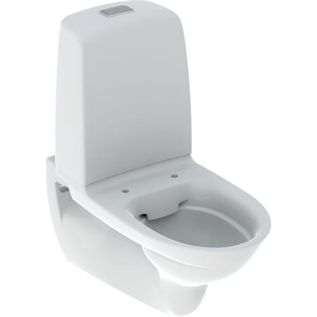 Ifö Spira 6293 seinapealne WC-pott, kahesüsteemne loputus, Rimfree, keraamilise loputuspaagiga