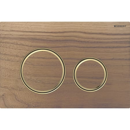 Geberit Sigma50（原 Sigma21）冲水面板，用于双冲，圆形，黄铜金属色