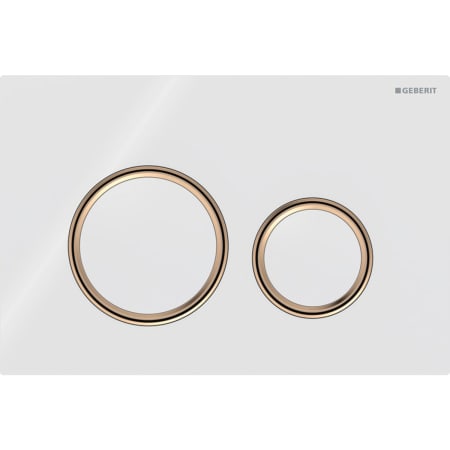 Geberit Sigma50 (ex Sigma21) Betätigungsplatte für 2-Mengen-Spülung, round, Metallfarbe rotgold - Für Sigma Unterputzspülkästen