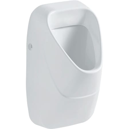 Geberit Alivio urinal, inlet from the rear, outlet to the rear or downwards