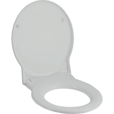 WC sedadlo Geberit Joly: Automatické plynulé zatváranie=Áno, Upevnenie=Zhora, pergamon / Lesklý