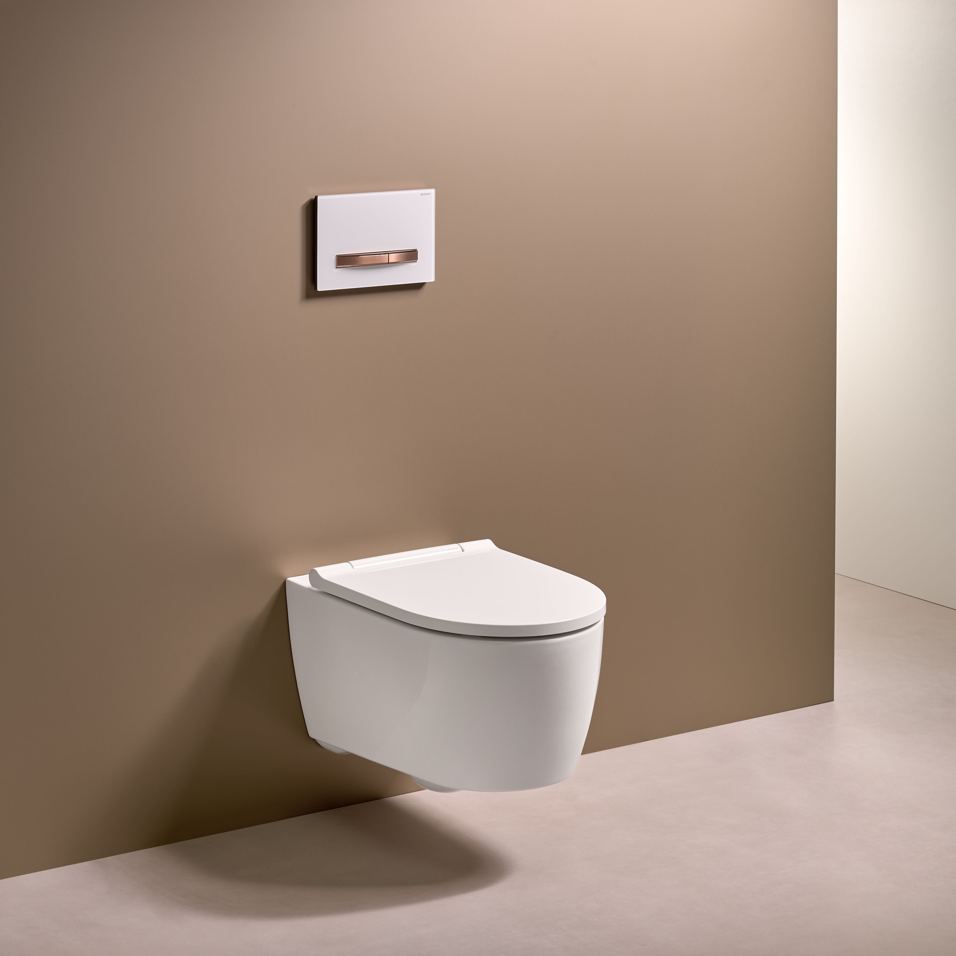 Geberit Scharnier-Set Abnehmbar, Verchromt – Für Einfache WC-Sitz-Montage Und Reinigung